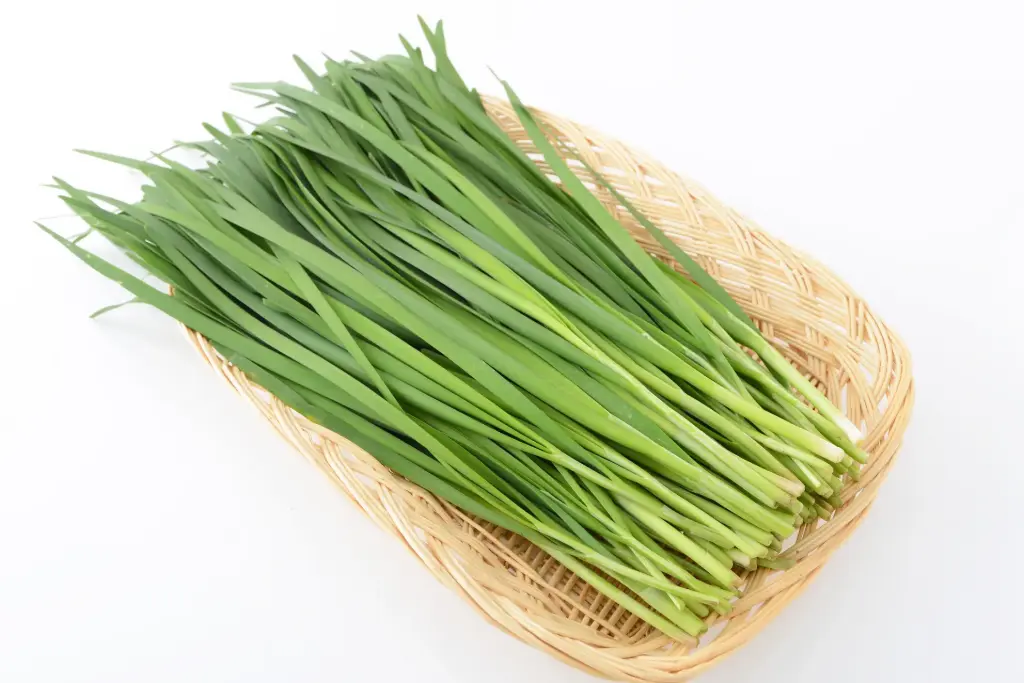 有機韭菜